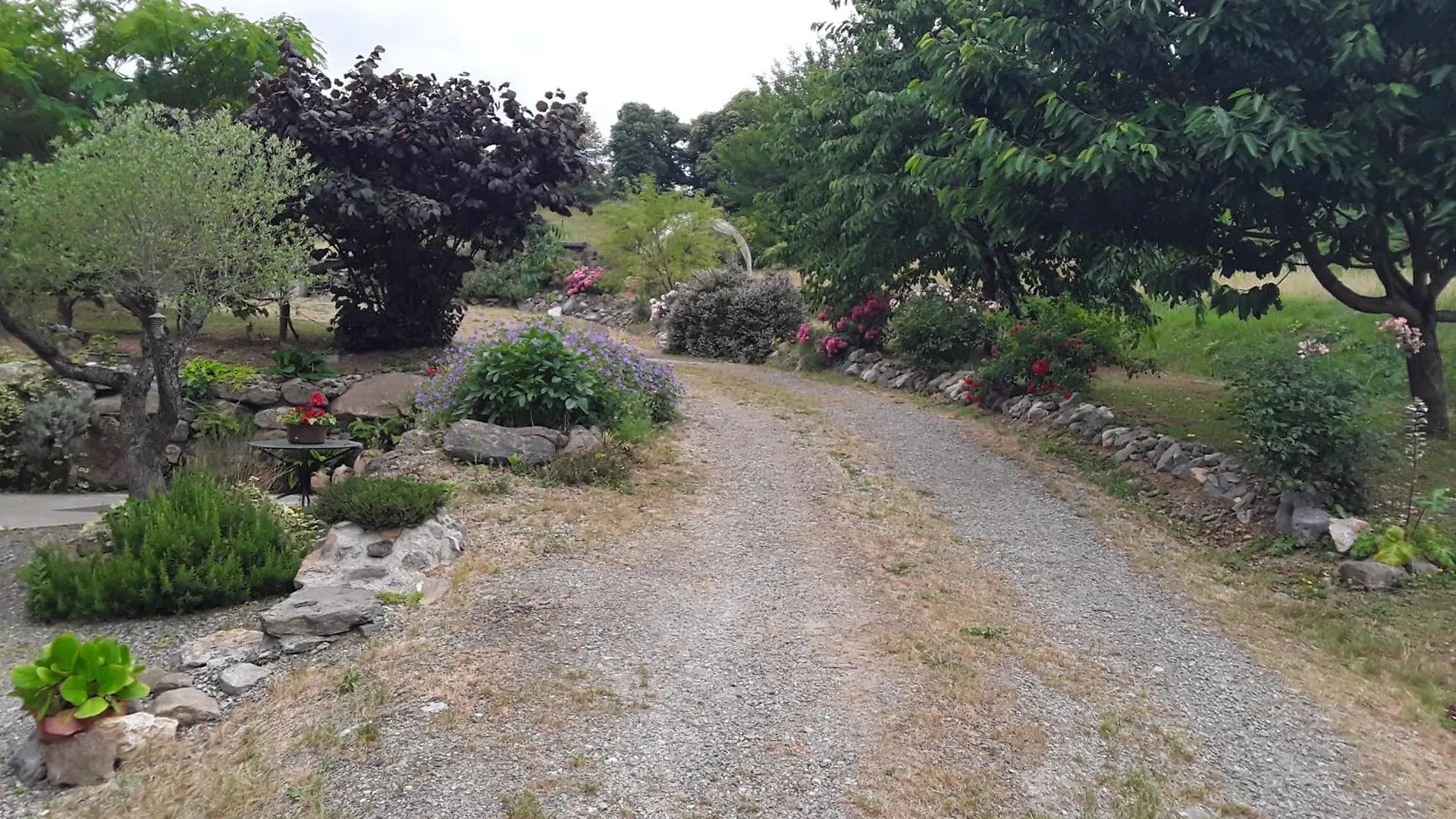 Location En Pre Montagne Pyreneenne Saleich 公寓